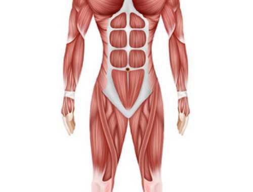 高抬腿运动有什么好处 高抬腿能瘦腿吗