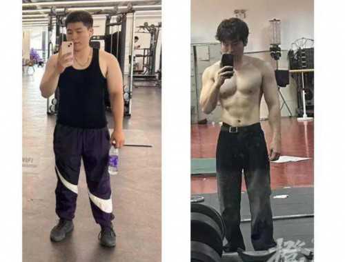 在家减脂计划男士专业版