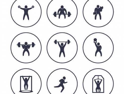 抗氧化剂及其包含抗氧化剂的食物