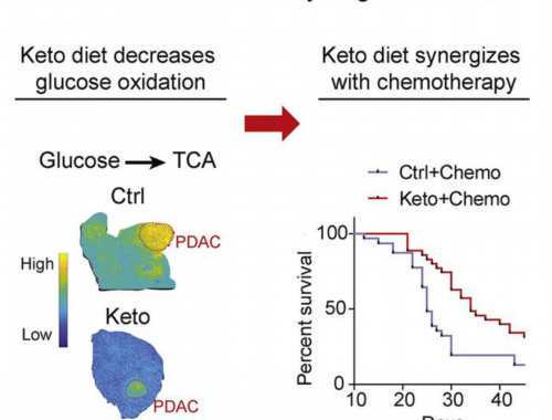 健美食物 西兰花的各种烹饪方法