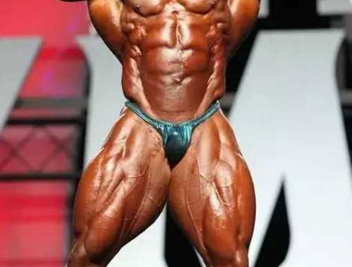 新手减脂计划的3个阶段