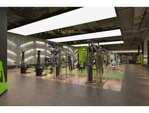 篮球爱好者弹跳及力量训练计划