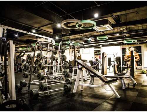 骆驼式锻炼怎么做最正确